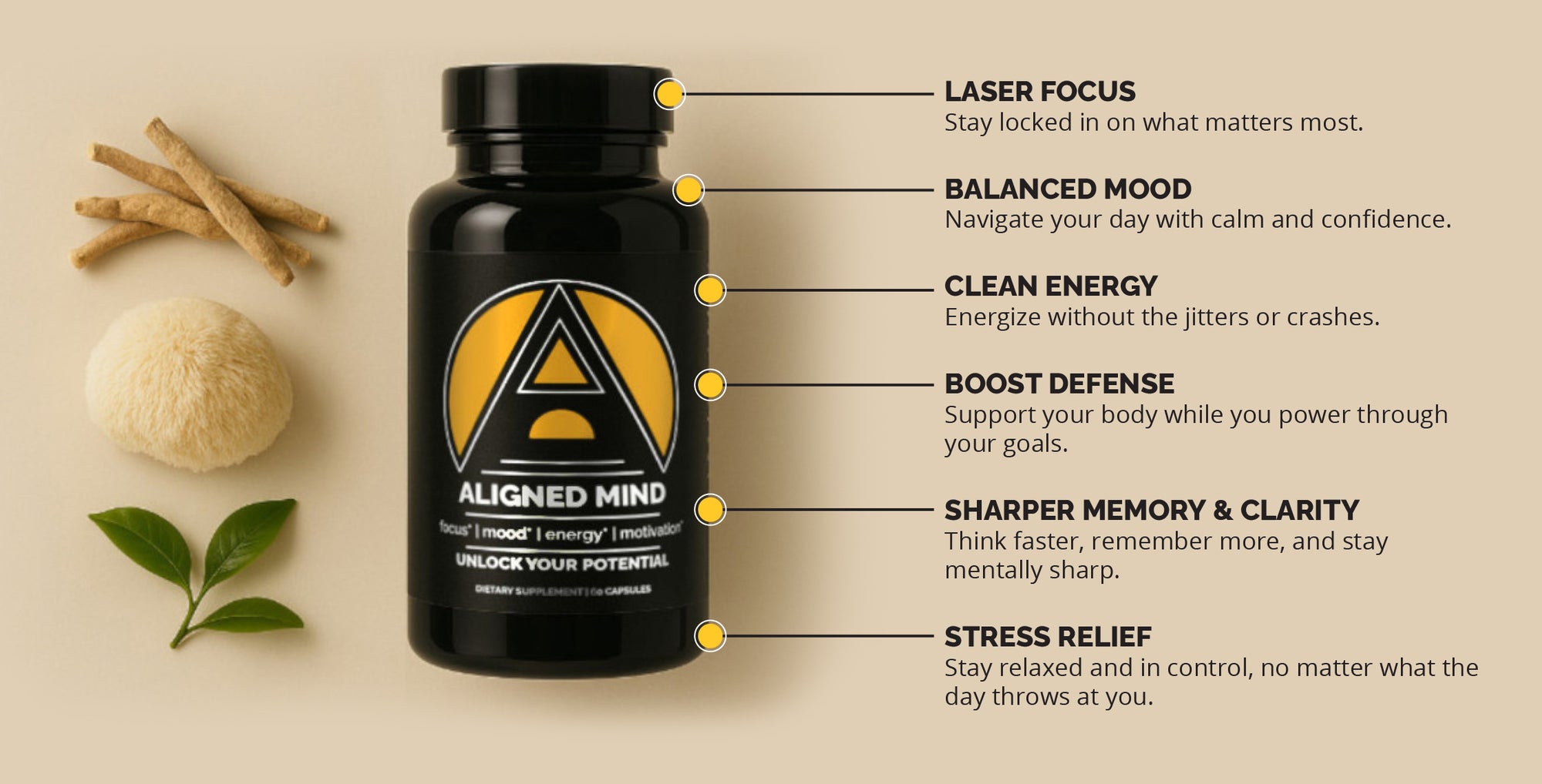 Find your Balance with Aligned Mind